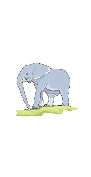 éléphant