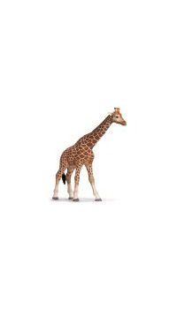 girafe