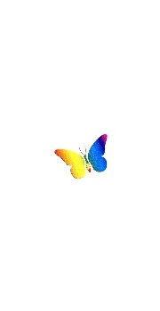 papillon