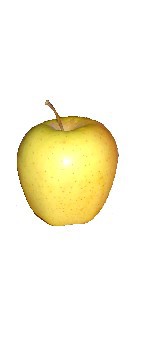 pomme