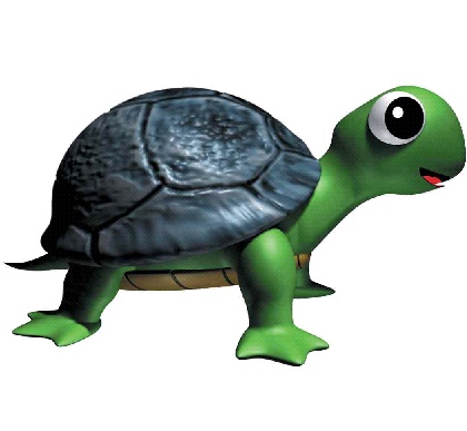 tortue