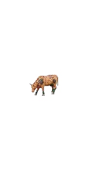 vache