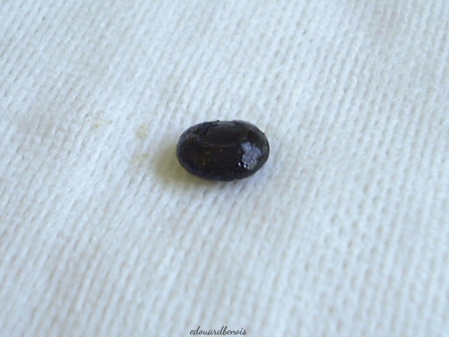 cataracte noire