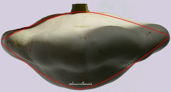 pâtisson